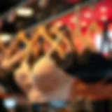 Stylish plus size bra collection on display