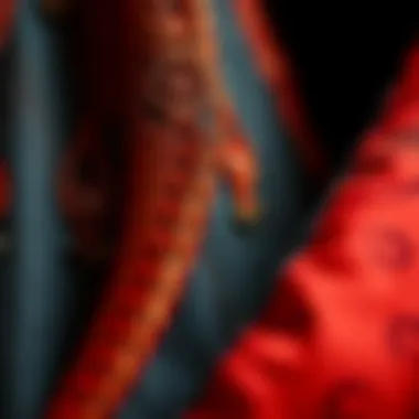 Close-up of the materials used in Arabic dance clothing showcasing textures