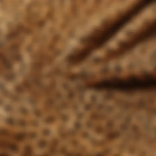 Close-up of cheetah print fabric showcasing texture