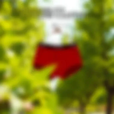 An infographic demonstrating the sustainability aspects of custom clothing.