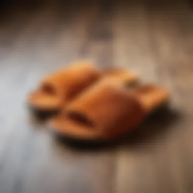 Contemporary Fuzzy Slides Aesthetics Stylish fuzzy slides on a wooden floor