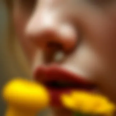 Care tips for maintaining the quality of non-pierced nose rings