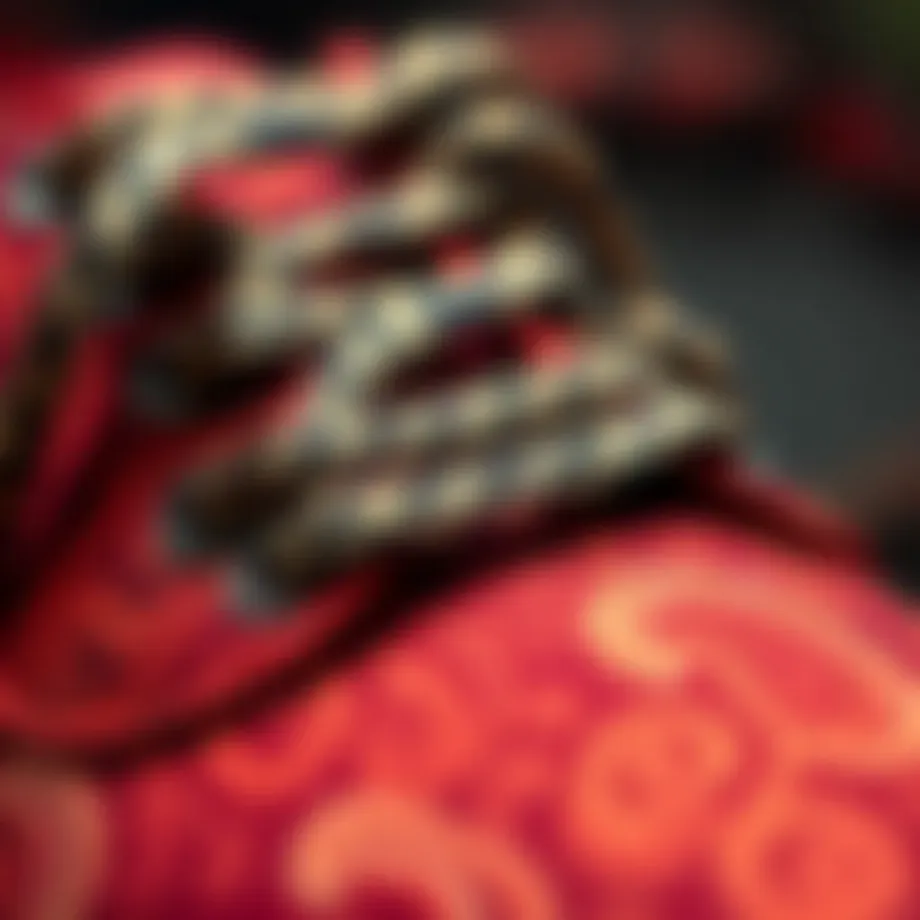 Close-up of intricate paisley pattern on shoelaces