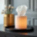 Elegant cylinder tissue box cover showcasing minimalist design.