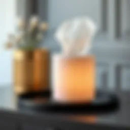 Elegant cylinder tissue box cover showcasing minimalist design.