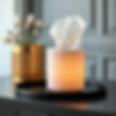 Elegant cylinder tissue box cover showcasing minimalist design.