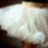 An elegant tutu skirt showcasing layers of soft tulle