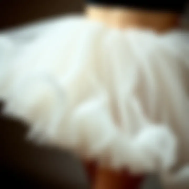 An elegant tutu skirt showcasing layers of soft tulle