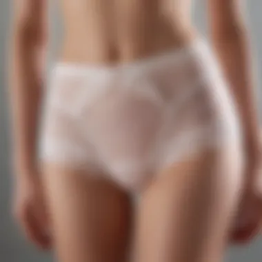 Elegant display of Warner's tummy control panties showcasing design and fabric texture.