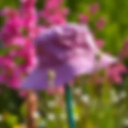 A stylish lightweight bucket hat displayed against a vibrant outdoor backdrop