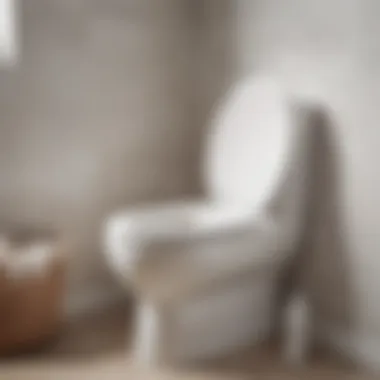 Sustainability and Aesthetics of Linen Sustainable linen toilet seats enhancing bathroom aesthetics