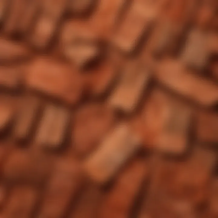 Elegant display of peach wood combs against a backdrop of modern fashion