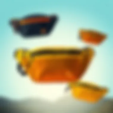 Diverse Designs of Sport Fanny Bags Different styles of sport fanny bags showcasing diverse designs and colors